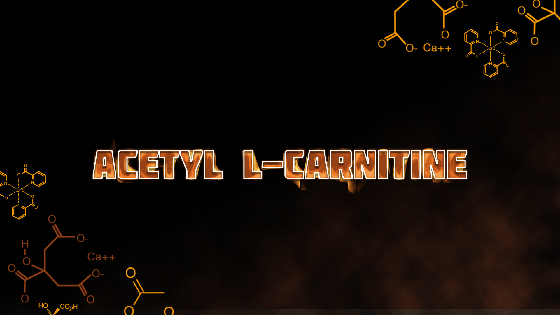 Acetyl L-Carnitine