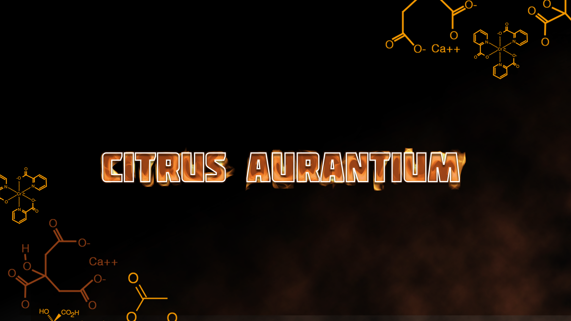 Citrus Aurantium