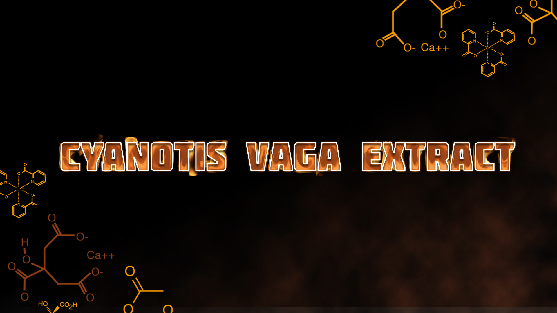 Cyanotis Vaga Extract