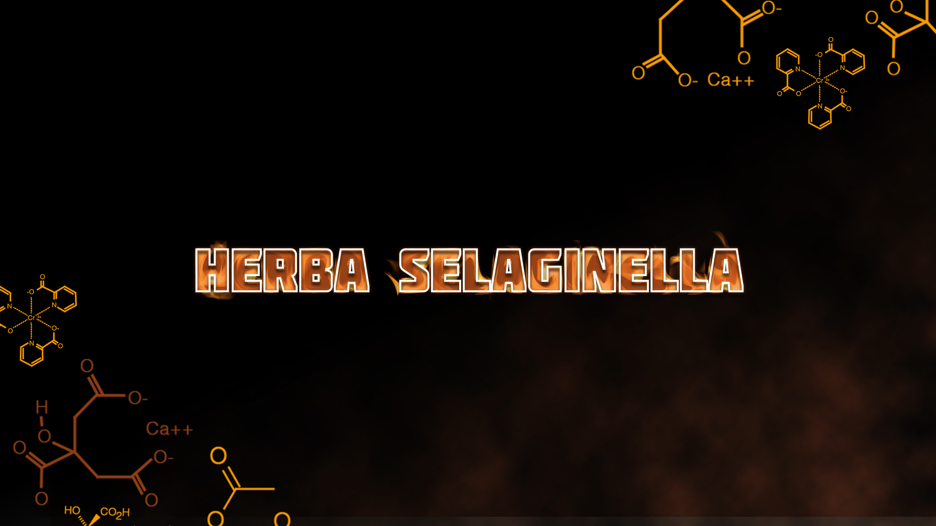 Herba Selaginella