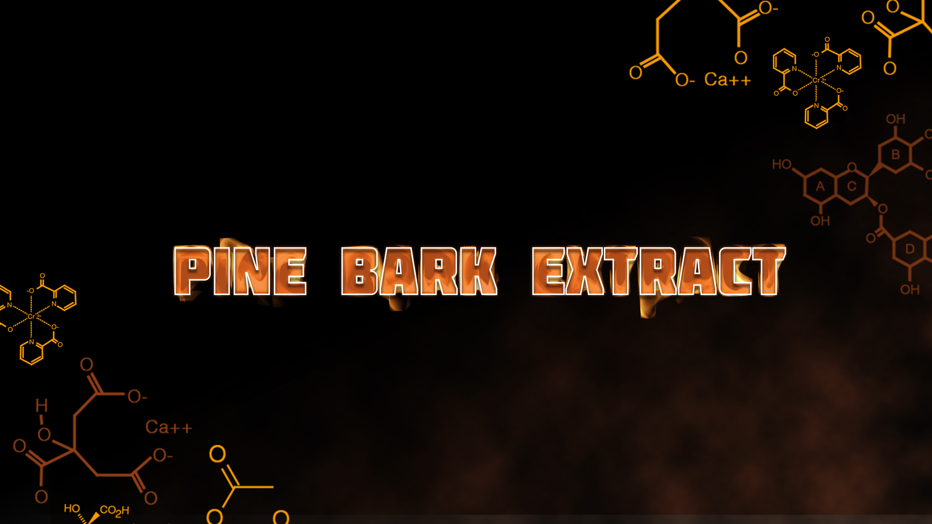 Pine Bark Extract