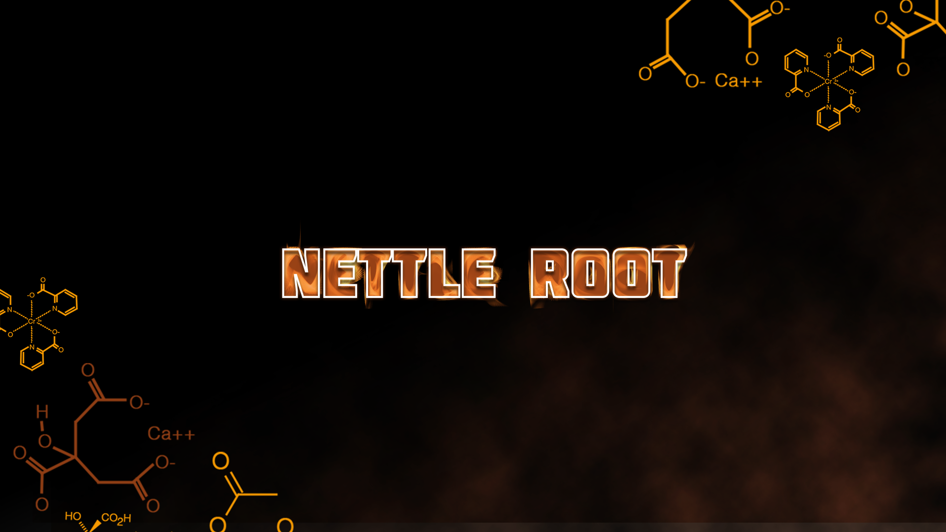 Nettle Root