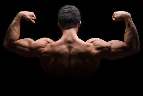MASTERING LEAN BULKING: A STRATEGIC APPROACH TO MUSCLE GROWTH
