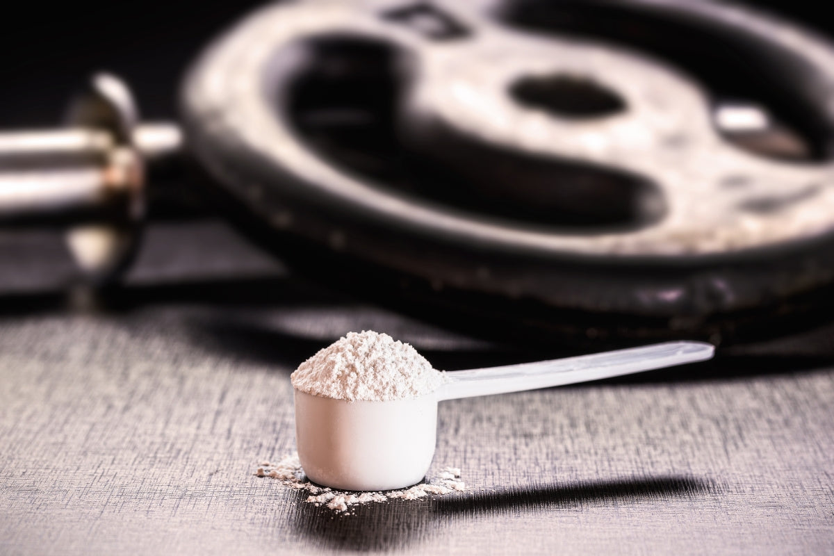 Creapure vs Standard Creatine Monohydrate: Which Is Right for You?