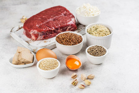THE ESSENTIAL ROLE OF AMINO ACIDS IN MUSCLE HEALTH AND RECOVERY