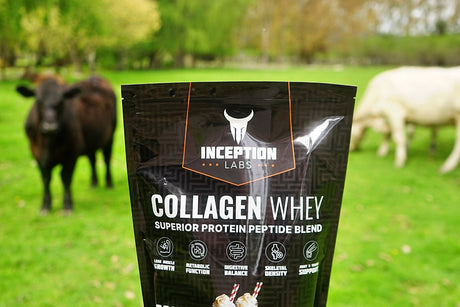The Ultimate Protein Pair: Transforming Health with Whey and Bovine Collagen Proteins