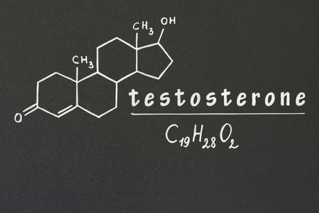 UNDERSTANDING TESTOSTERONE: ITS IMPACT ON HEALTH AND WELL-BEING